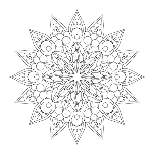 ENCHANTING ADULT COLORING BOOK SERIES 2