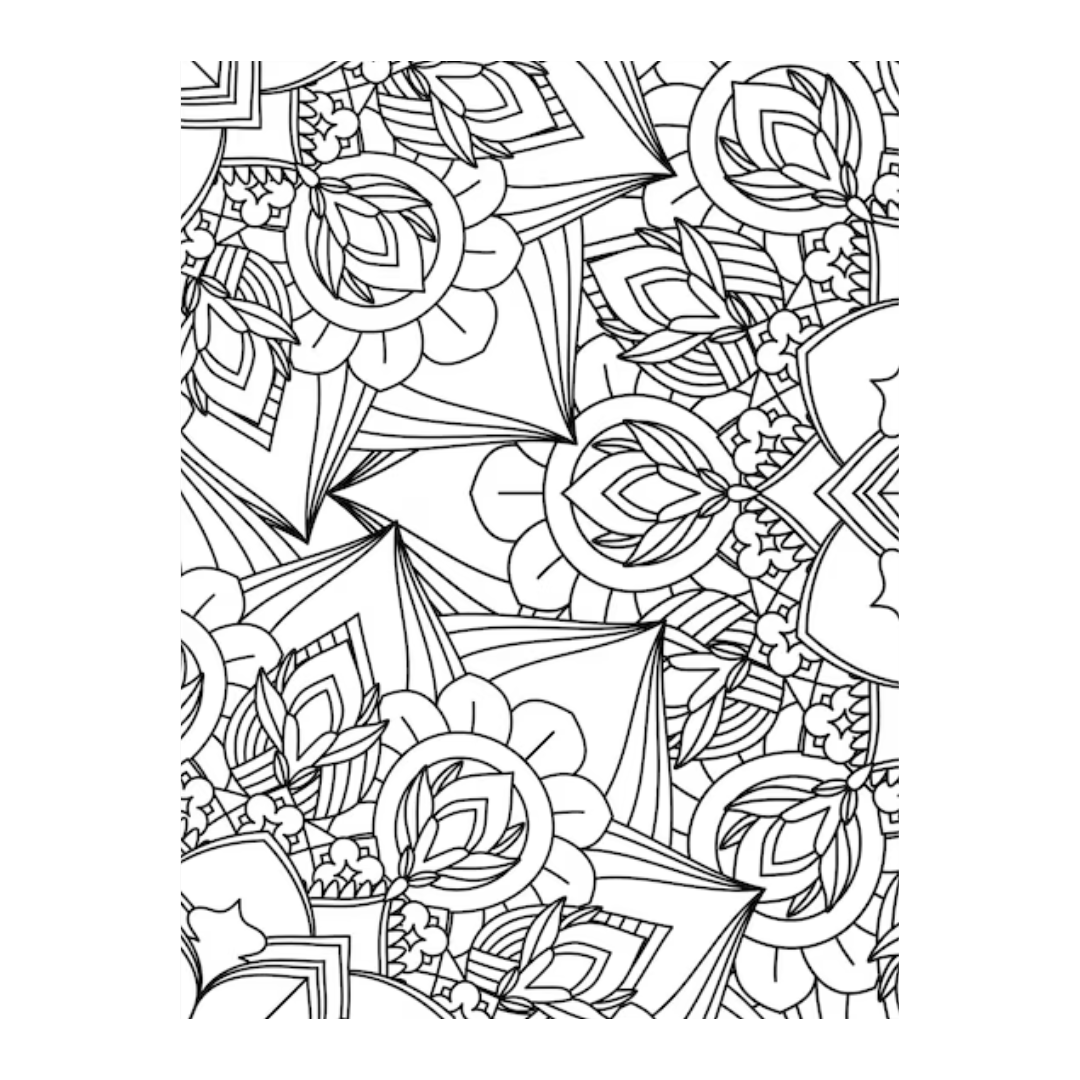 ENCHANTING ADULT COLORING BOOK SERIES 3