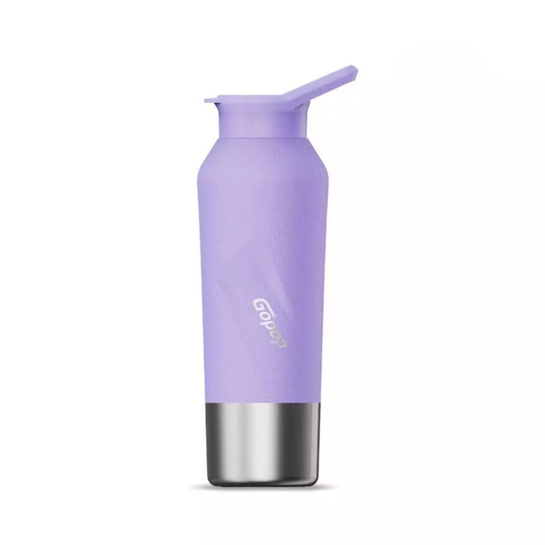 Stainless Steel Seal Insulated Bottle 500ML