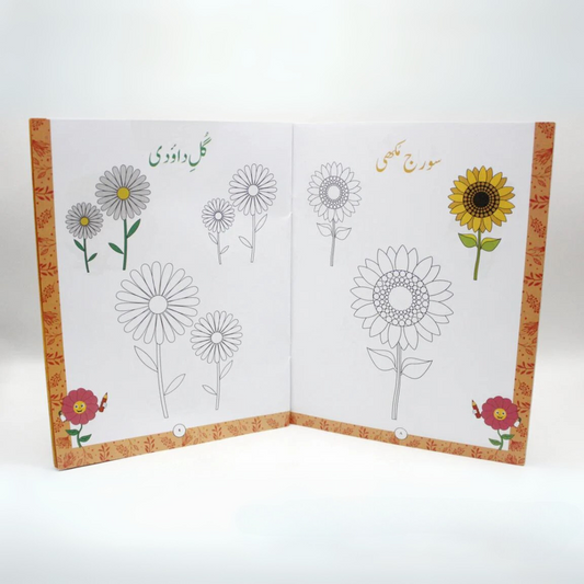 Aao Rang Bharain Phool, Phal Aur Sabzion Mein Book coloring book