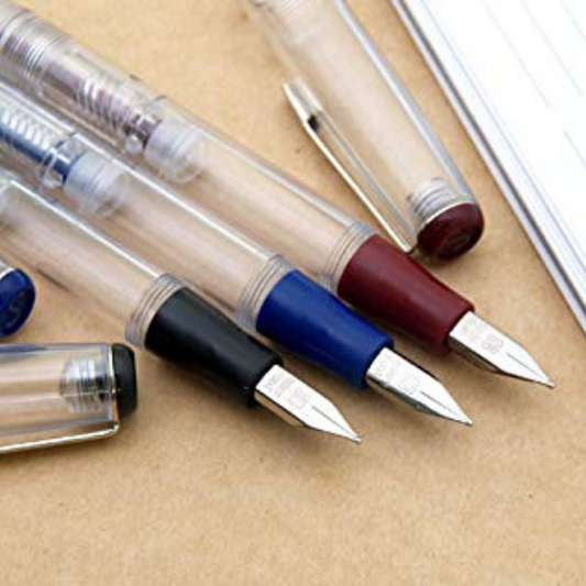 Dollar Transparent Filler Fountain Pen
