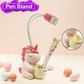 Small Study Desk LED Chargeable Lamp