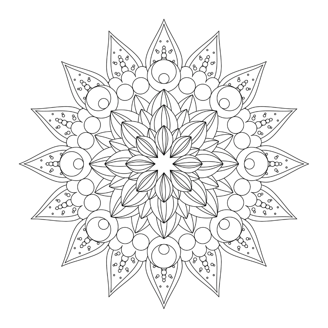 ENCHANTING ADULT COLORING BOOK SERIES 2