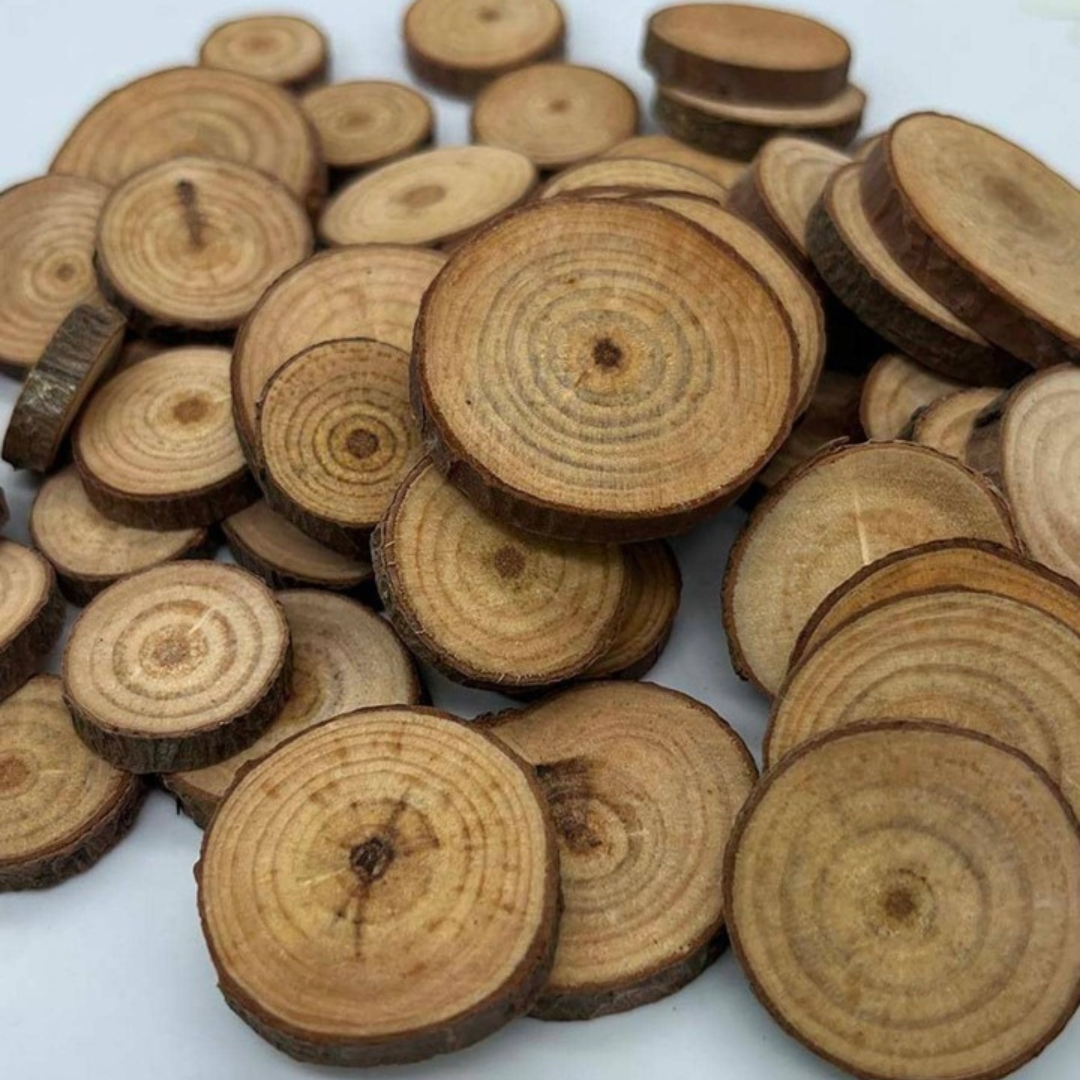 Wooden Round Slice