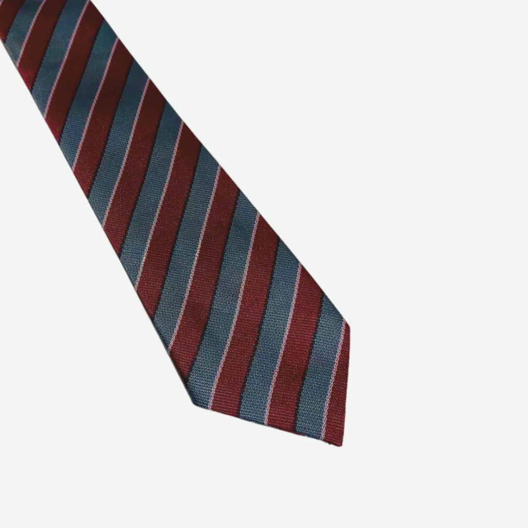 The City School Elastic Tie