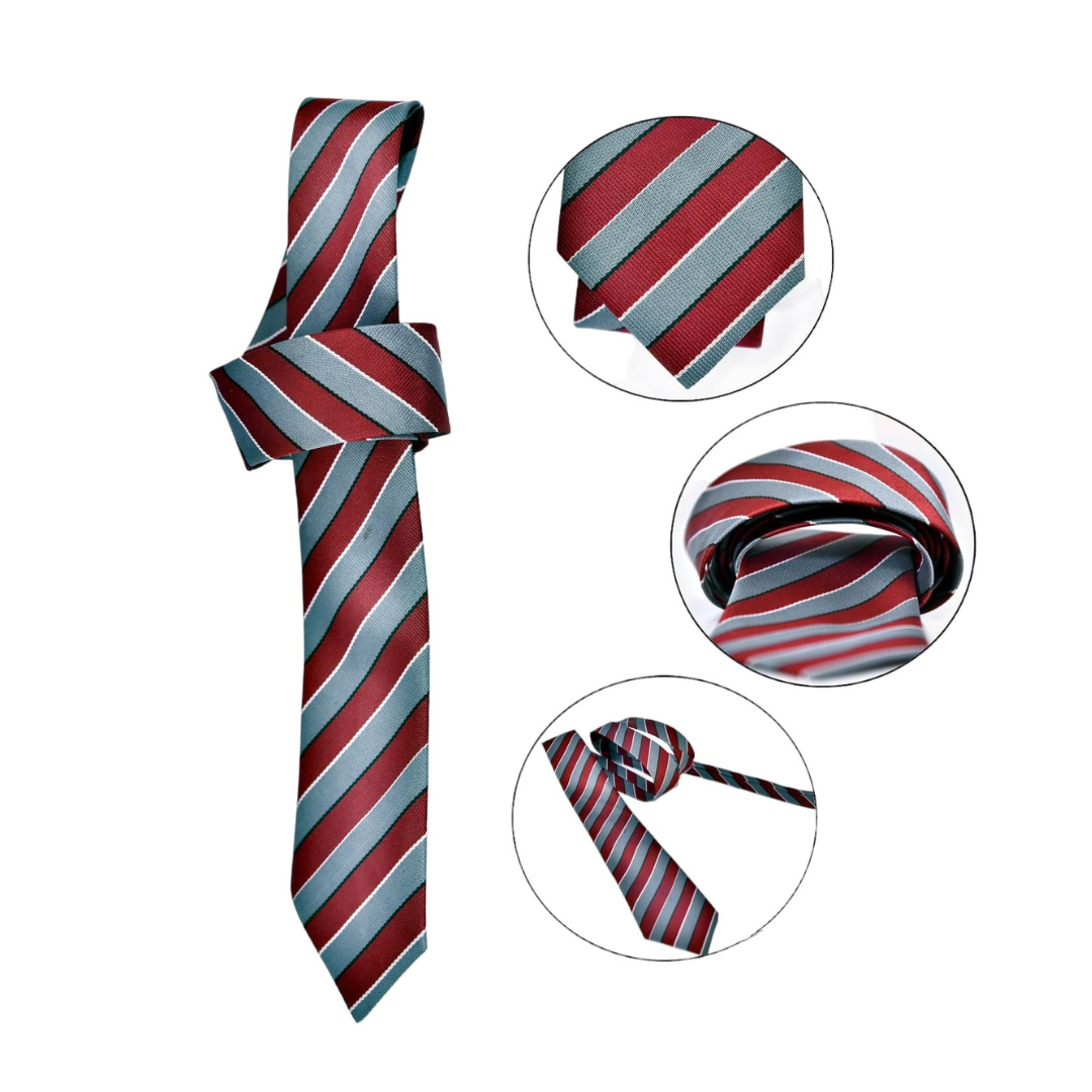 The City School Tie