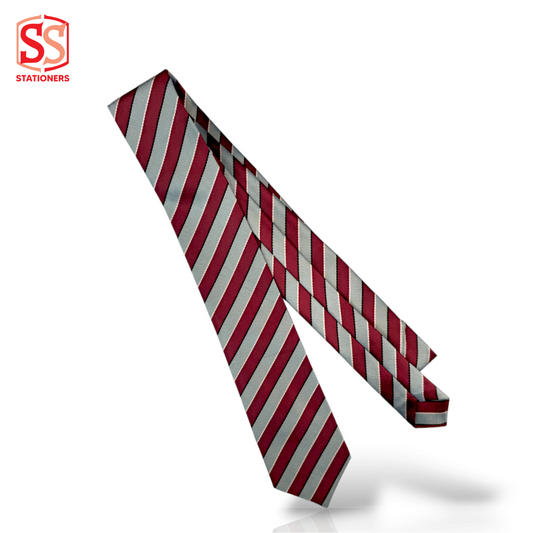 The City School Tie