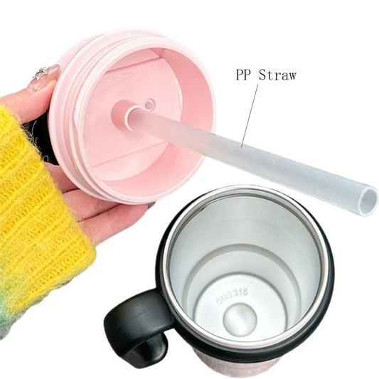 Stainless Steel Insulated Water Bottle with Straw