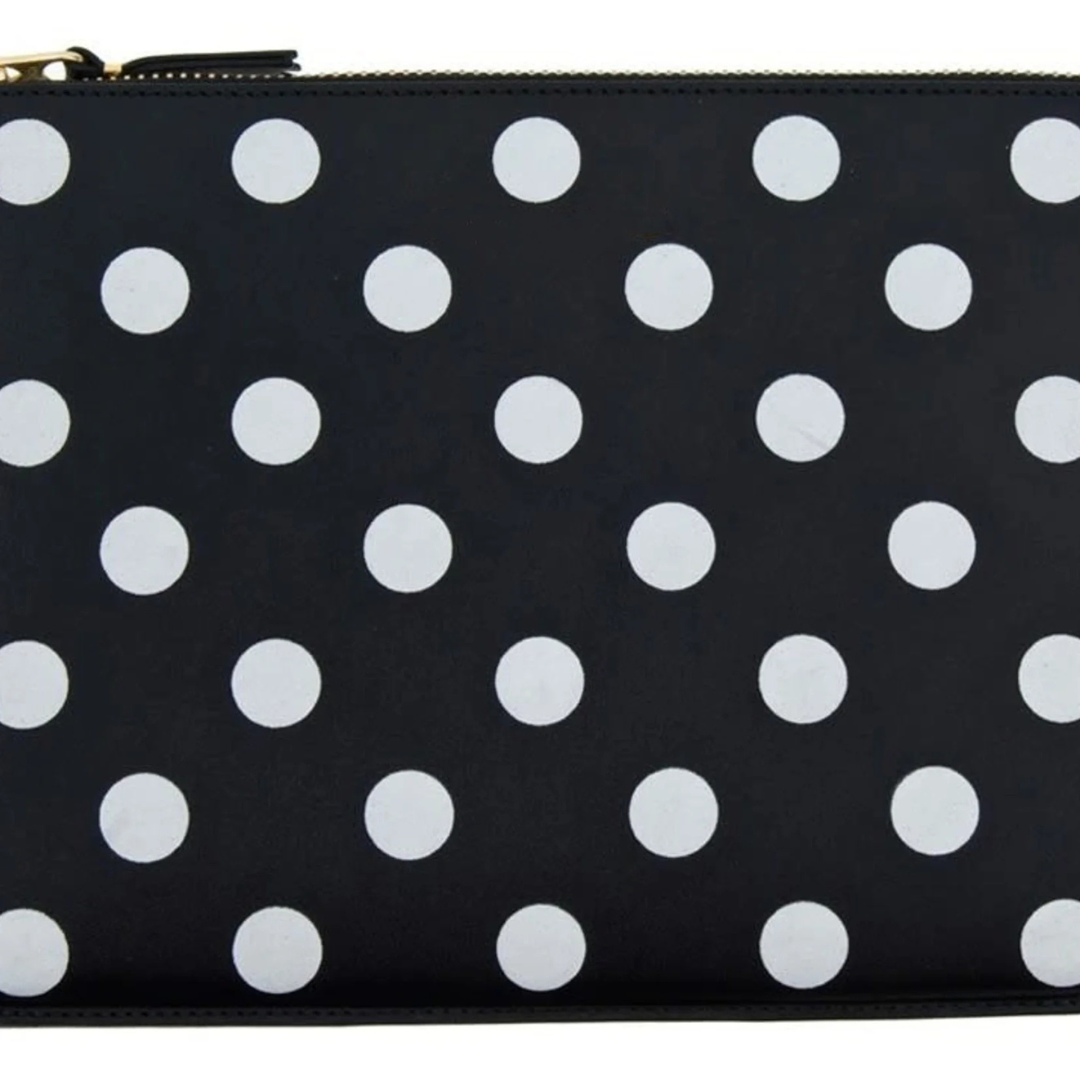 Polka Dot Pouch