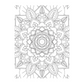 ENCHANTING ADULT COLORING BOOK SERIES 1