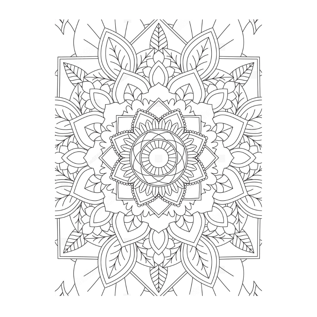 ENCHANTING ADULT COLORING BOOK SERIES 1
