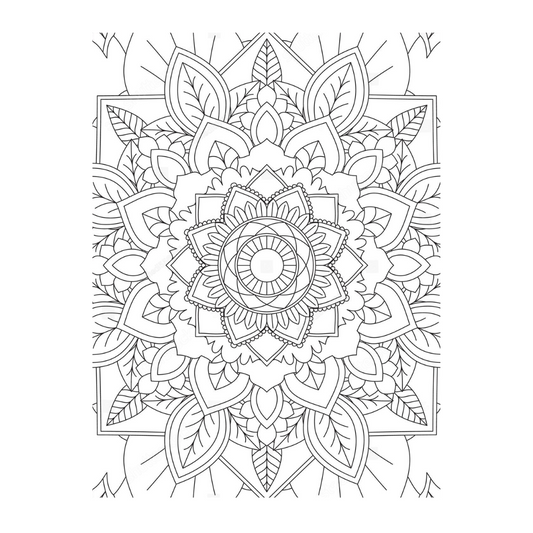 ENCHANTING ADULT COLORING BOOK SERIES 1